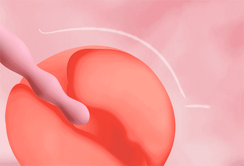 Hoạt động que rung hậu môn Galaku Hoạt động que rung hậu môn Galaku